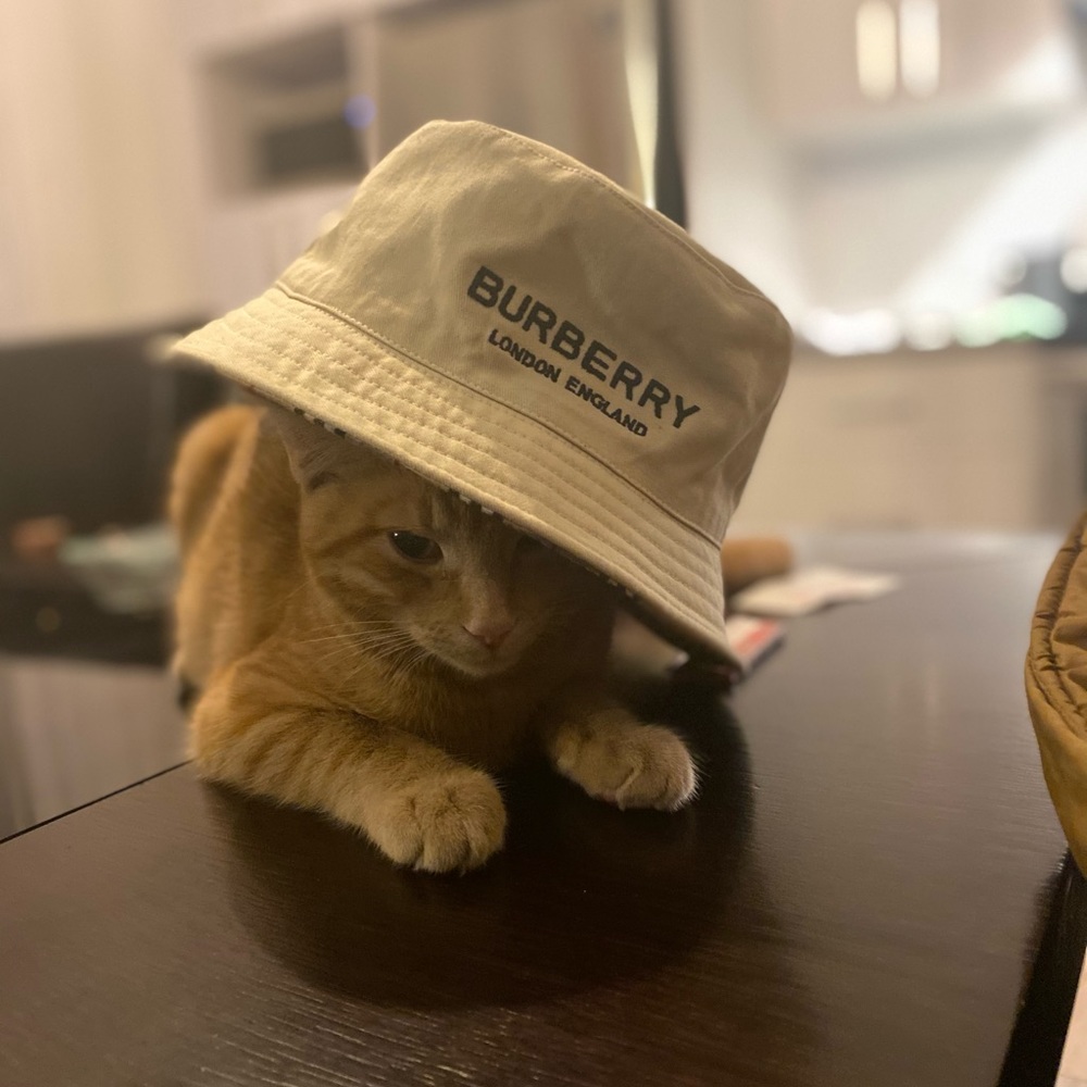 Bob Burberry